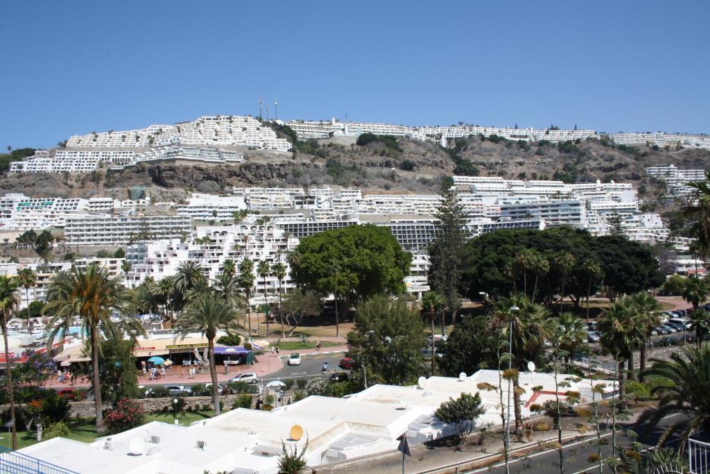 Apartamentos Mayagueez - Adults Only بورتو ريكو المظهر الخارجي الصورة